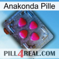 Anaconda Pill 13